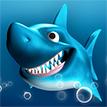 Jumpy Shark