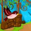 play Robin Bird Escape