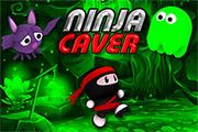play Ninja Caver