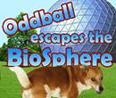 play Oddball Escapes The Biosphere