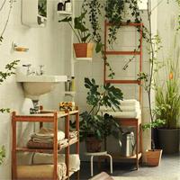 Plant Furnishing House Escape