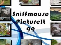 play Sniffmouse Pictureit 99