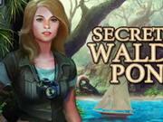 Secret Of Walden Pond