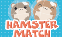 play Hamster Match