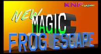 play Knf New Magic Frog Escape