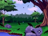 play Escape From Crow Forest