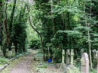 play Escape Highgate Cemetery Gothic