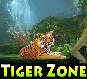 Tiger Zone Escape Game