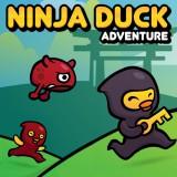 play Ninja Ducks Adventure