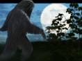 Bigfoot - Chasing Shadows
