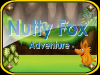 Nutty Fox Adventure