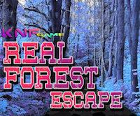 play Knf Real Forest Escape