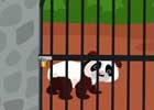 play Theescapegames Panda Cub Escape