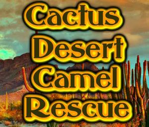 play Hiddeno Cactus Desert Camel Rescue