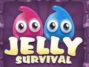 play Jelly Survival