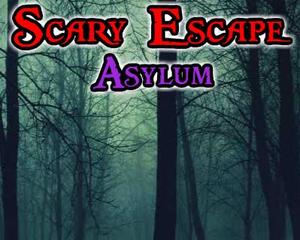 play Mousecity Scary Escape Asylum