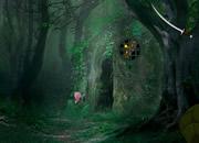 play Enigmatic Forest Escape