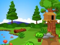 play Rescue The Lovely Parrots Escape