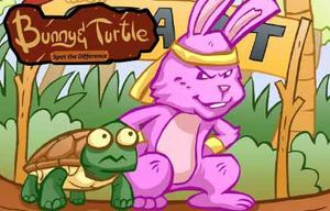 play Bunny And Turtle