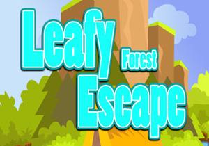 Leafy Forest Escape