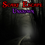 play Scary Escape Unknown