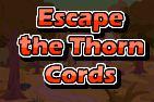 play Ajaz Escape The Thorn Cords
