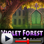 Violet Forest Castle Escape Game Walkthrough