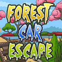 Forest Car Escape