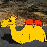 Escape Camel From California Desert