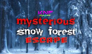 play Knf Mysterious Snow Forest Escape