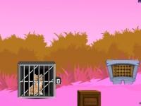 play Cat Rescue From Cage