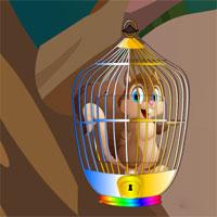 play Squirrel Escape From Cage