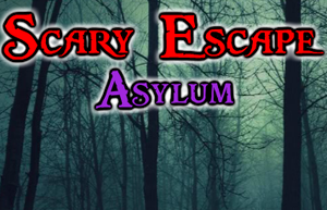 play Scary Escape: Asylum