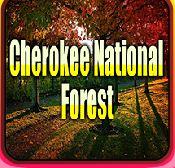 play Avm Cherokee National Forest Escape