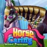 play Horse Caring Mane Tressage