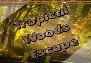 play Tropical Woods Escape