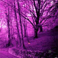 Pink-Forest-Escape-1