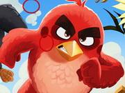 Angry Birds Differences