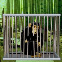 Bamboo Forest Monkey Escape