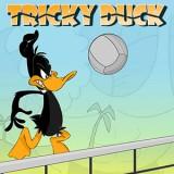 play Tricky Duck Volleyball
