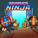 play Geminate Ninja