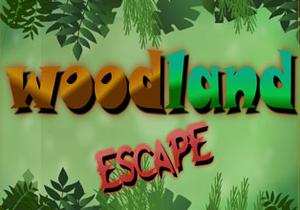 play Woodland Escape