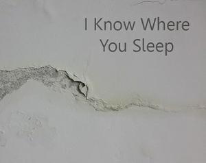 play I Know Where You Sleep