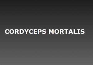 play Cordyceps Mortalis