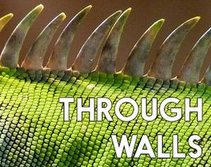 Through Walls