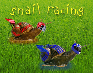 play Snail Racing