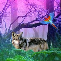 play Gray Wolf Forest Escape