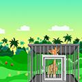 play Toll Rescue Animals And Escape