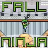 Fall Ninja