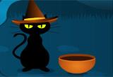 play Halloween Black Cat